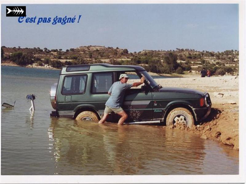 norbert 4x4.jpg